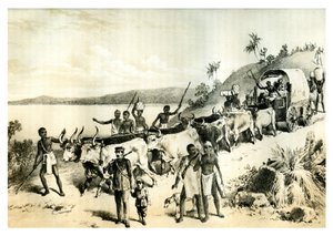 1883年，到达恩加米湖的到来 作者 不明