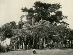 1870年，Barrackpore的悦榕庄，1925年。 作者 不明