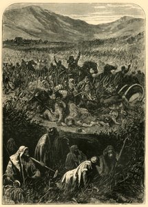1890年的米希玛什战役。 作者 不明