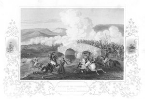 特里纳亚战役，1855年 作者 不明