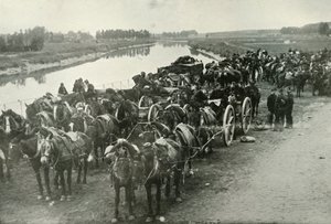河流战役，1919年。 作者 不明