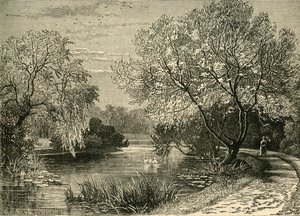摄政公园植物园，建于1876年。 作者 不明
