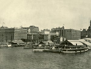 环形码头，悉尼，1901年。 作者 不明