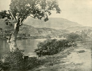 1901年在新诺福克（New Norfolk）的德文特（Derwent）。 作者 不明