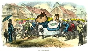 日本姬村犬，1872年 作者 不明