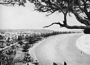 西班牙文集，曼利海滩，摄于1900年。 作者 不明
