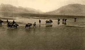 珠穆朗玛峰全景（c1918-c1939）。 作者 不明