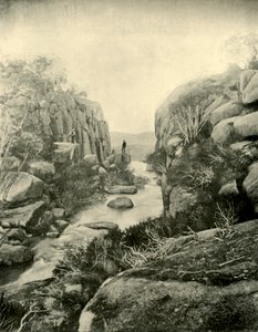 1901年，维多利亚州阿尔卑斯山的布法罗瀑布峡谷。 作者 不明