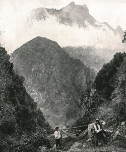 1895年，葡萄牙马德拉群岛，大博物馆。 作者 不明