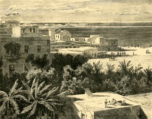 1890年，亚历山大港大港口。 作者 不明