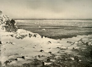 1909年3月，即迁徙前的最后一只企鹅，约于1909年。 作者 不明
