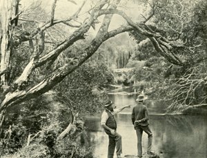 1901年，维多利亚州上亚拉市的发射场。 作者 不明