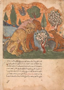 狮子王和他的母亲一起接受迪姆纳，来自Kalila wa Dimna的对开本，18世纪。 作者 不明