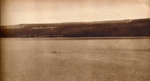 尼斯湖怪兽，1933年，1938年 作者 不明