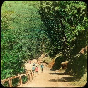 19世纪末或20世纪初，印度锡姆拉的The Mall Road 作者 不明