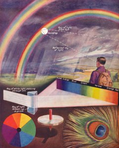 构成白光的多种颜色，1935年 作者 不明