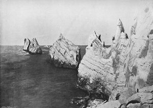 针-全景，展示灯塔，1895年 作者 不明