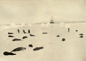 1909年3月4日，在普拉姆角（Pram Point）的猎人 作者 不明