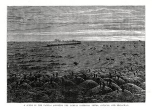 南美低地潘帕斯铁路，1877年 作者 不明