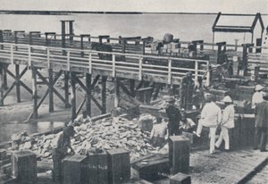 珍珠捕鱼业-包装外壳，1923年。 作者 不明