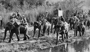 1921年，威尔士亲王在印度开枪射击 作者 不明