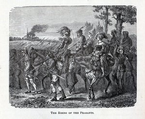 农民的崛起，1882年 作者 不明