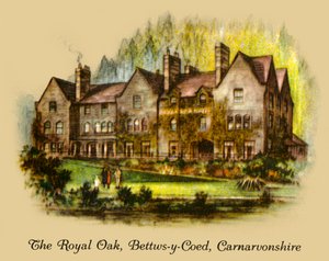 皇家橡树，Bettws-y-Coed，卡纳芬郡，1936年。 作者 不明