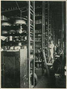 爱迪生实验室的架子上，装有各种已知物质的样本，1902年。 作者 不明