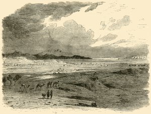 特洛伊遗址，1890年。 作者 不明