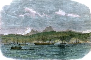 智利瓦尔帕莱索的西班牙封锁中队，大约于1880年 作者 不明
