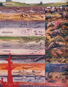岩石中的生命继承，1935年 作者 不明