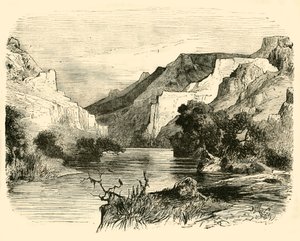 坦佩河谷，1890年。 作者 不明