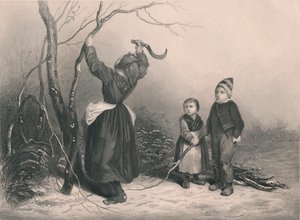 c夫，c1850 作者 不明