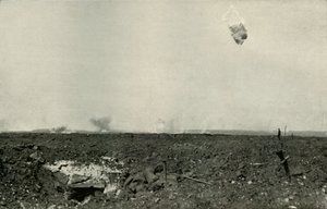 羊毛熊.1919年。 作者 不明