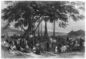 锡克教徒不定期骑兵的突击部队的到来，印度，c1860 作者 不明