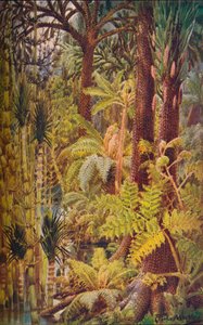 1907年石炭纪时代的巨型植被。 作者 不明