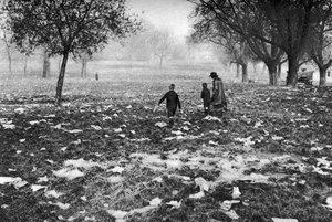 1926-1927年的伦敦银行假期后，垃圾留在Hamstead Heath 作者 不明