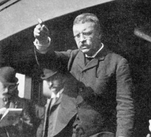 西奥多·罗斯福（Theodore Roosevelt）在1901年在纽约州的一次会议上讲话 作者 不明