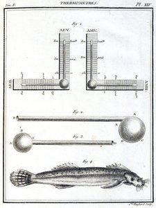 Thermometers 作者 不明