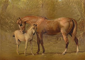 良种母马和驹，c1879。 作者 不明