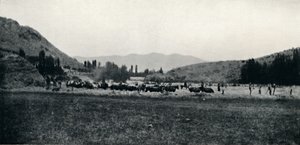 1911年以古代方式播种玉米 作者 不明