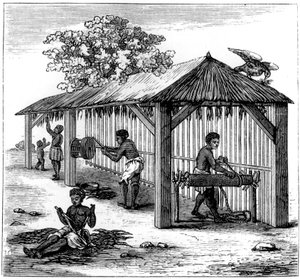 烟草制品，1873年 作者 不明
