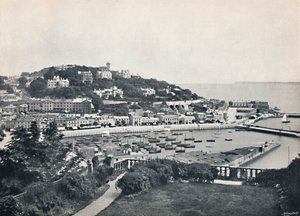 托基-Waldron Hill的全景，1895年 作者 不明
