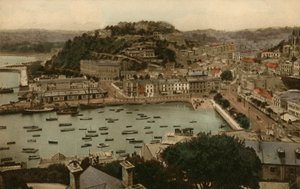 1930年，来自范恩山的托基。 作者 不明
