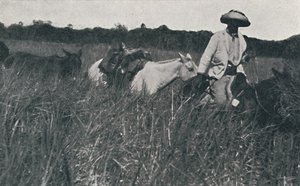 1916年在南美大草原旅行 作者 不明