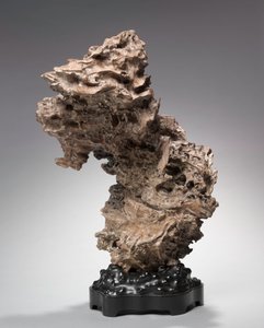 1800年前的树根。 作者 不明