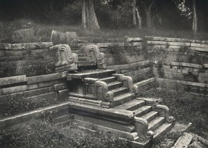 1926年阿努拉德普勒圣城砖砌的池塘中的楼梯 作者 不明