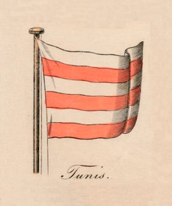 突尼斯，1838年 作者 不明