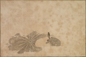 十八世纪的莲花池中的乌龟。 作者 不明