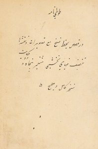 鹦鹉的图蒂名传c。 1560。 作者 不明